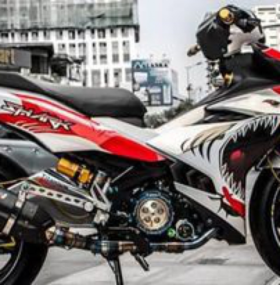 TEM TRÙM EXCITER 150 (g)