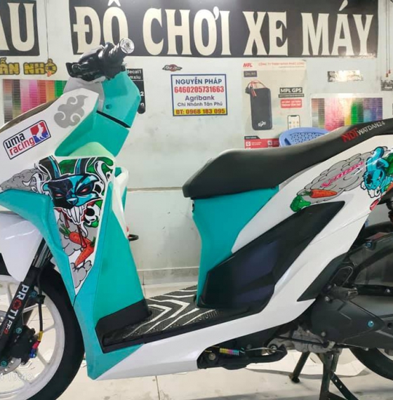 tem chế vario 150